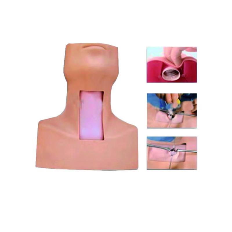 AWR Tracheal Cricothyroidotomy Model