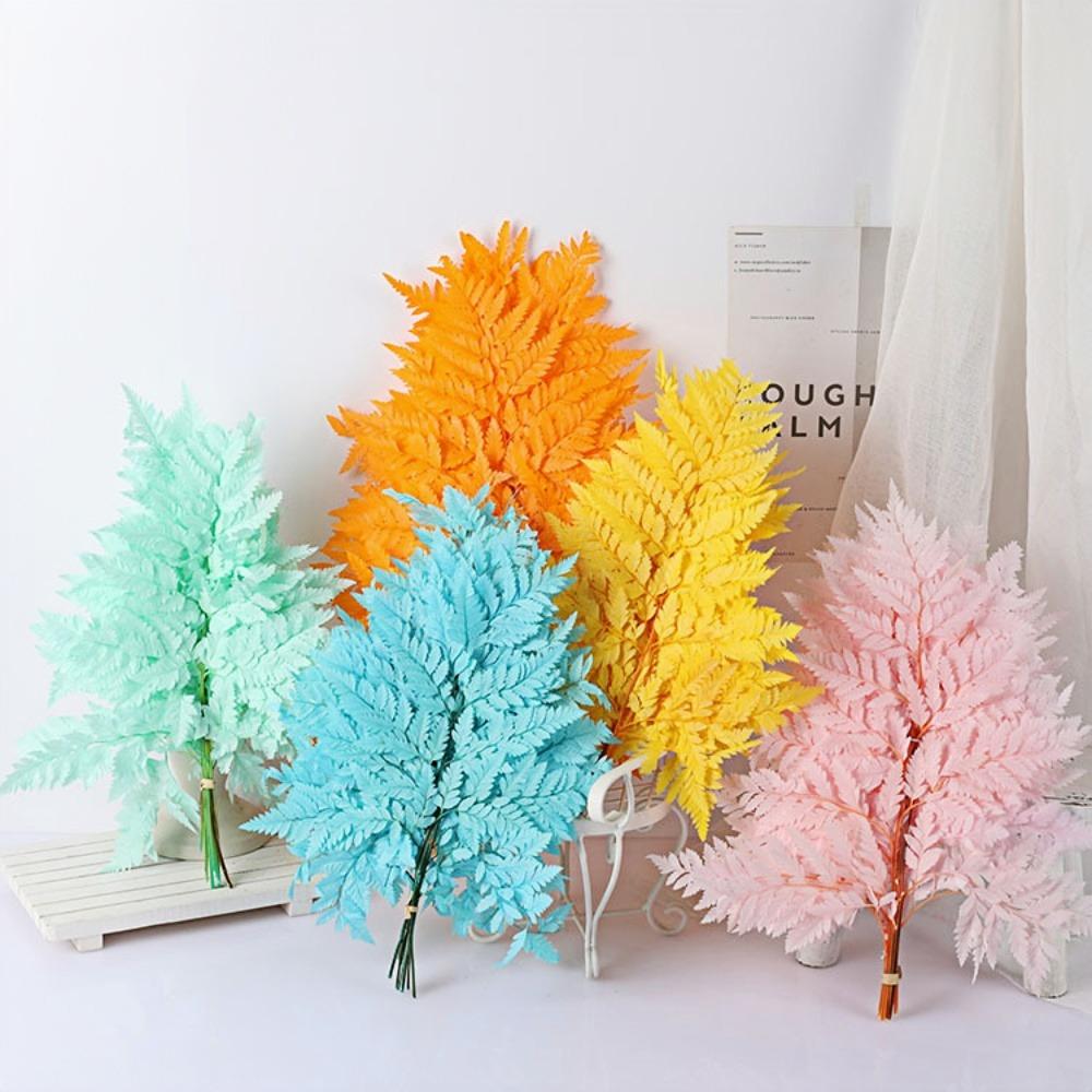 Preserved Fern Leaf for Home Decoration,Eternal Life,Natural Real Fern Plant,Handmade Flowers Material,Wedding,Home, 5Pcs,10Pcs
