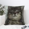 Pillow Case Sleep Tabby Cat Soft Pillow Cover For Chair Sofa Home Decor Retro Trendy Pillowcases