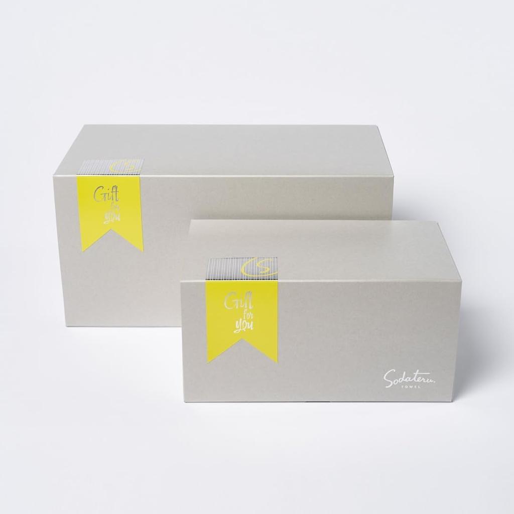 Feel" Sodateru Towel Set (3 Sizes) - Charcoal (Gray) - 60x120cm/34x85cm/20x40cm - 100% Cotton - Boxed (SD-FEEL-BFPCH)