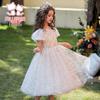 Fuluomi Girls' Sweet Sequin Mesh Princess Dress