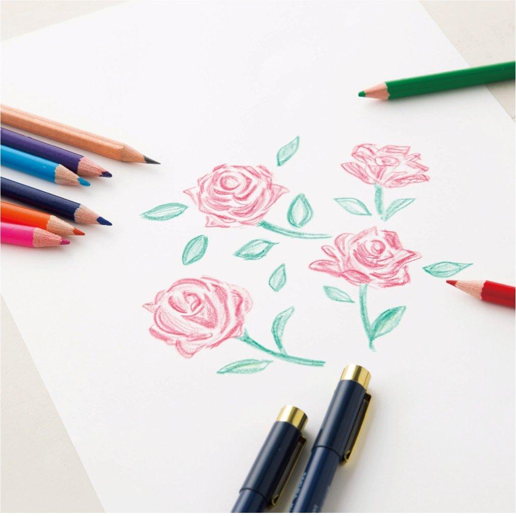 Kyokuto Kent 100 KEA4 Paper, A4, Sheets, 0.22mm Thick,