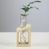 Gifts Flower Vase Weddings Party Flower Pot Home Garden Decoration Plant Vases Test Tube Vase
