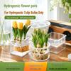 Tulip Hydroponic Flower Pot with Basket: Imitation Glass, Easy Water Change, Transparent Plastic Bulb Container.