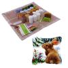 Acrylic Latch Hook Kit Craft Set Pillow Case Embroidered Rug Canvas Tool for Handicraft Beginners