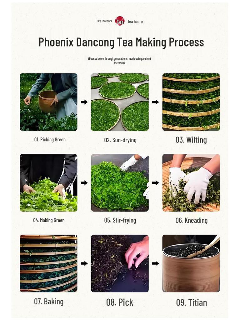 Phoenix Dancong Honey Orchid Aroma Gift Box: Chaozhou Specialty High Mountain Oolong Tea