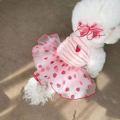 Sommer Niedlich Prinzessin Mesh Dünnes Trägerkleid Kleid Hund Katze Kleidung Haustierkleidung Rock