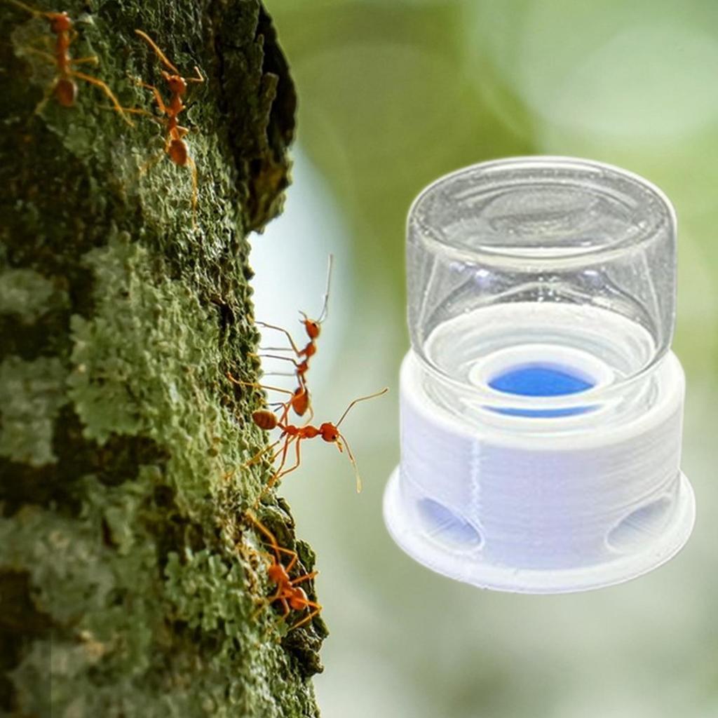 Transparent Ant Feeder Crickets Water Station Anti-Drowning Transparent Drinking Feeder For Ant Bee Crickets Outdoors