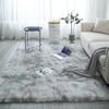 Large Size  Art Carpet Floor Gradient Color Fluffy Area Rug Living Room Carpet Hallway Mat