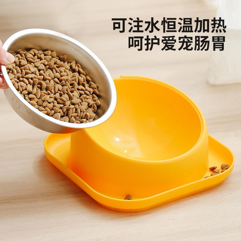 Bol pour animaux de compagnie à inclinaison de 15 degrés Anti-fourmis Mangeoire pour chats Antidérapant Anti-renversement pour Chiens Chats Chiots Chatons