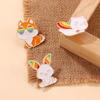 Fun Colorful And Animal Brooches With Rainbow Rabbit Fox And Frog Designs For Creative Gift Giving