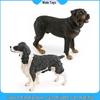 Rottweiler Pet Dog Model - Children's Cognitive Toy & Decorative Ornament