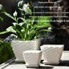 Elegant White Ceramic Flower Pot with Tray - Ideal for Ivy, Spider Plants, and Succulents