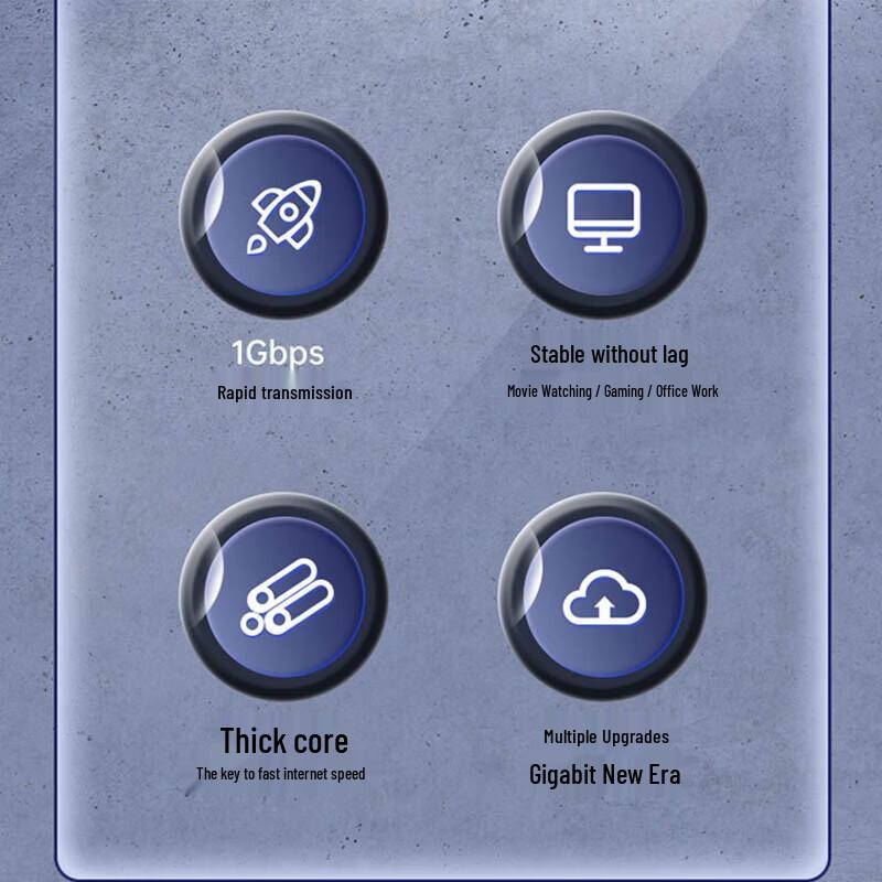 Shengwei Cat6 Gigabit Ethernet Patch Cable