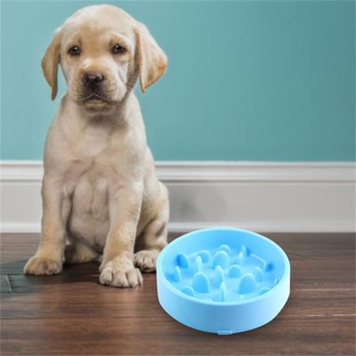 Rutschfester und rutschsicherer Slow Food-Futternapf für Hunde und Katzen
