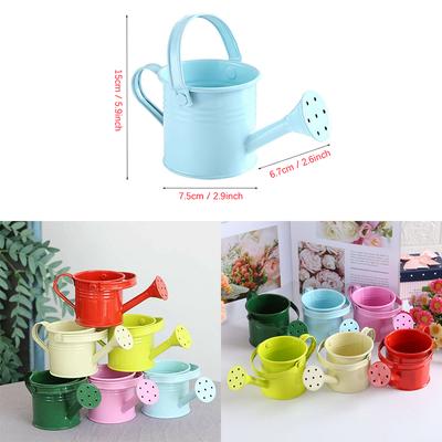 Home Mini Vintage Flower Kettle Watering Can Water Spraying Pot Metal