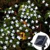 Verlichting – Slingers en feestverlichting