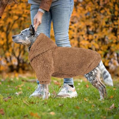 Comfortable Warm Dog Fleece Hoodie Cozy Double-Sided Plush Puppy Hooded Coat Soft Dog Sweater Apparel Indoor