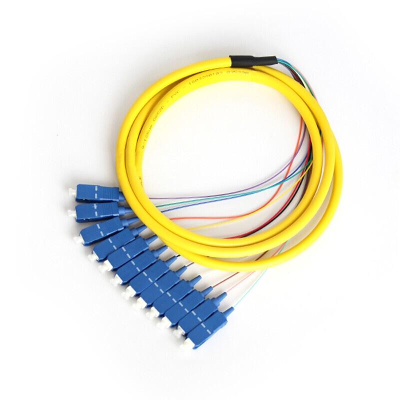 SC Singlemode 12-Core Fiber Optic Pigtail