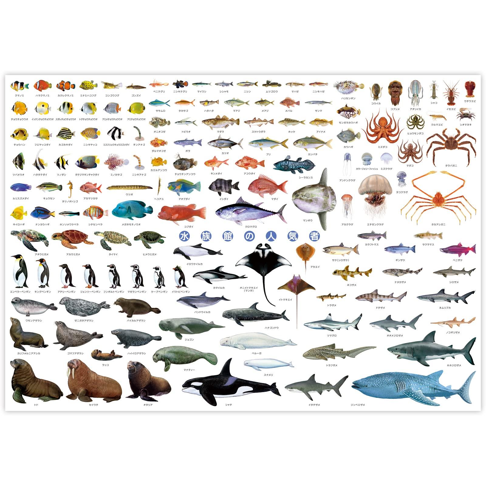 

Fish Picture Book Children Poster The Access Aquarium Popular A1 Size