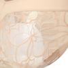 Triumph Illusion Lace Hipster Panty Skin Tbef87r2485