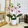 Artificial Phalaenopsis Flowers Decorative Plant For Home And Decoration Event