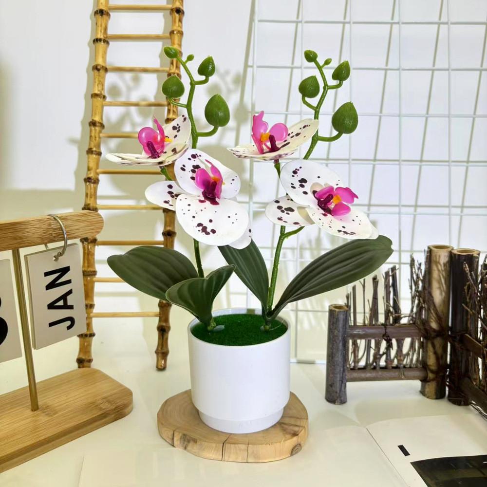 Artificial Phalaenopsis Flowers Decorative Plant For Home And Decoration Event