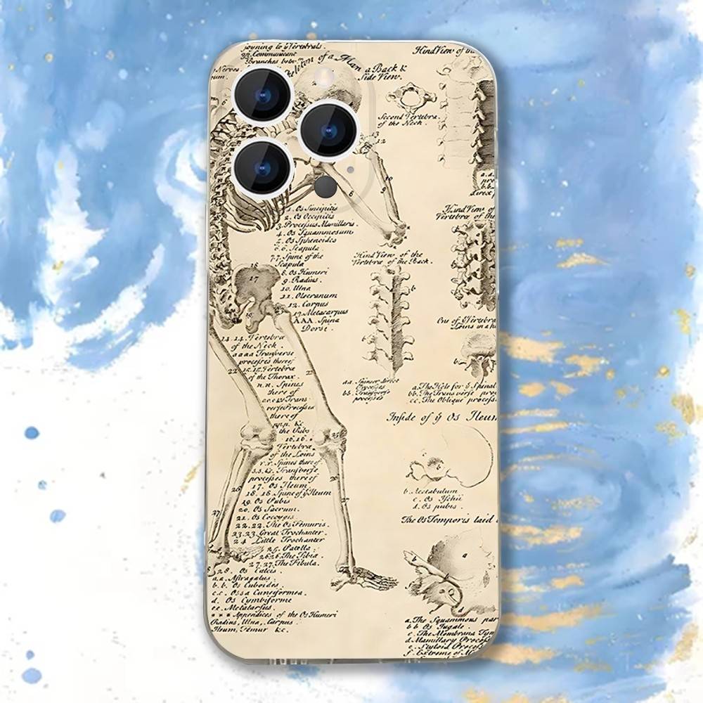 Medical Human A-Anatomy Clear Phone case suitable for iPhone 11 12 13 14 15 16 17 Pro Max Plus X XS XR SE E Mini Protective Case