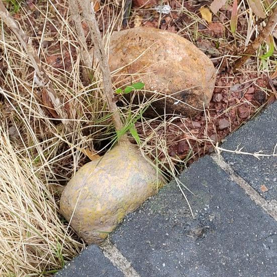 Garden Fake Stone Key Hider Storage Box Outdoor Yard Lawn Simulated Rock Resin Statue Decoration House Spare Key Secret Holder Container