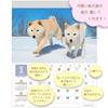 Active Corporation 2027 Calendar Wall Hanging Mori Taibei Marugoto Shiba Inu 27ACL-11 Starts January