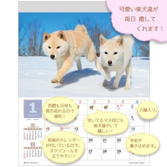 Active Corporation 2027 Calendar Wall Hanging Mori Taibei Marugoto Shiba Inu 27ACL-11 Starts January