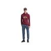 Polo Ralph Lauren Ss22 Logo Print Embroidered Hooded Long Sleeve Sweatshirt Men Sweatshirt Burgundy 710823853-004