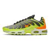 Air Max Plus Color Flip