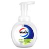 Walch Foam Antibacterial Hand Soap