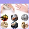 100pc Disposable Vinyl Gloves Powder Free Latex Free Food Surgical Medical
