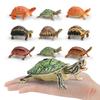 Children Simulated Turtle Model Static Solid Model Toy Animal Set Various Turtle Ornaments Radiated Tortoise Brazilian Slider