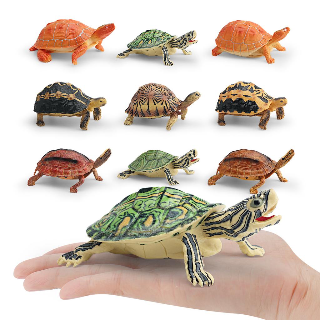 Children Simulated Turtle Model Static Solid Model Toy Animal Set Various Turtle Ornaments Radiated Tortoise Brazilian Slider