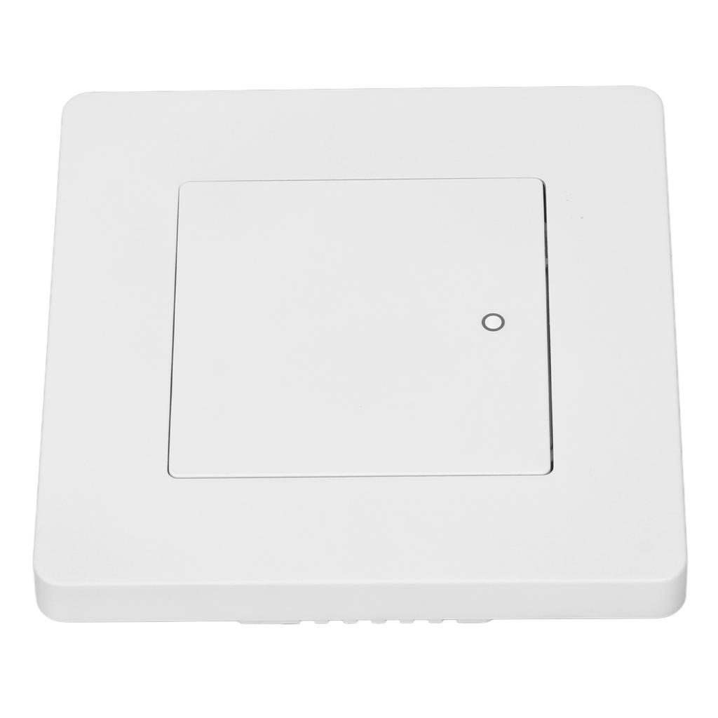 1 Way Timing Controller Scene   Remote Control AC  for Light Curtain