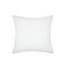Housse De Coussin 40 X 40 Cm Ziggy