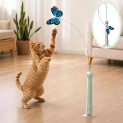 Gatos – Juguetes para gato