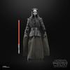 Hasbro STAR WARS Black Series Gaming Greats Knights of the Old Republic Darth Nihilus Darth Treia Prémiová sběratelská akční figurka 15cm Sada G2547