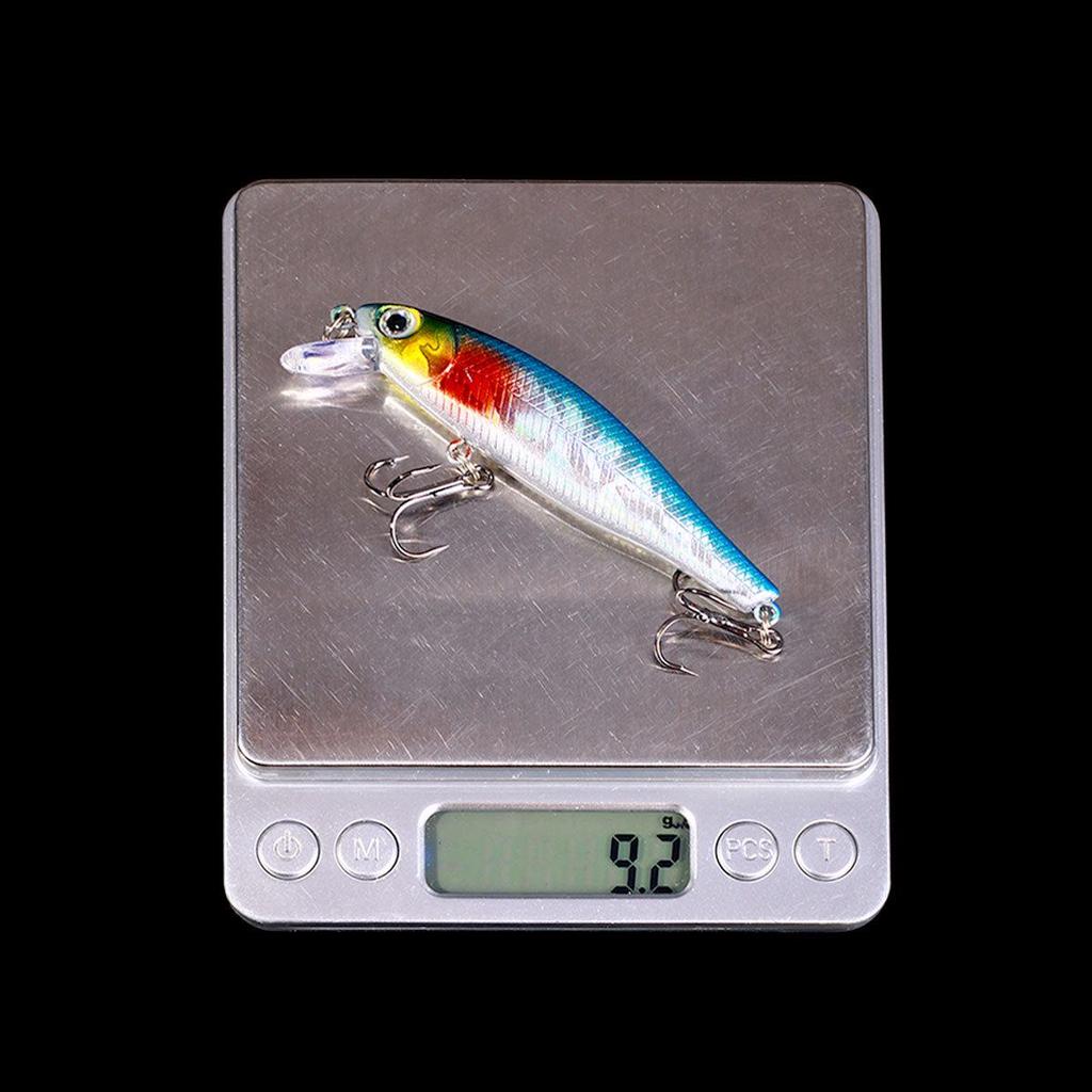 9g Slow Sinking Minnow Lure for Stream, Creek, and Sea Fishing