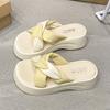 2025 Summer Stepping On Shit Thick-soled Slippers Women's Fashion Heightening New Non-slip Cross Beach Cool Slippers Versatile