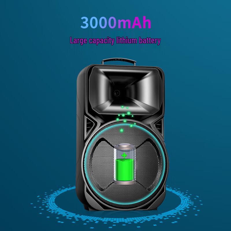 Soaiy A95 12-inch High-Power Portable Bluetooth KTV Speaker