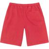 Stüssy Double layer Shorts 112328