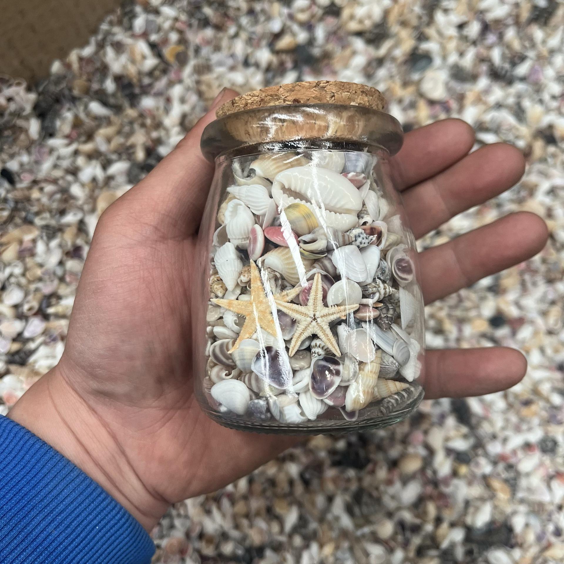 Раковина рака-отшельника из натуральной раковины конха ручной работы для креативного украшения аквариума