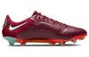 Nike Legend 9 Elite Fg Team Red Mystic Hibiscus CZ8482-616