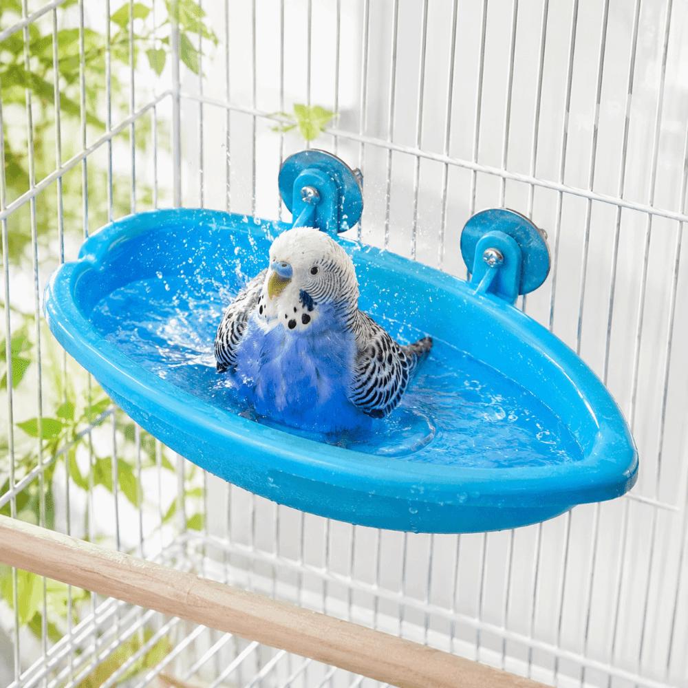 Swimming Pool Bird Bath Shower Durable Bird Drinking Bowl Parrot Shower Bird Feeding Bool  Pet Toys