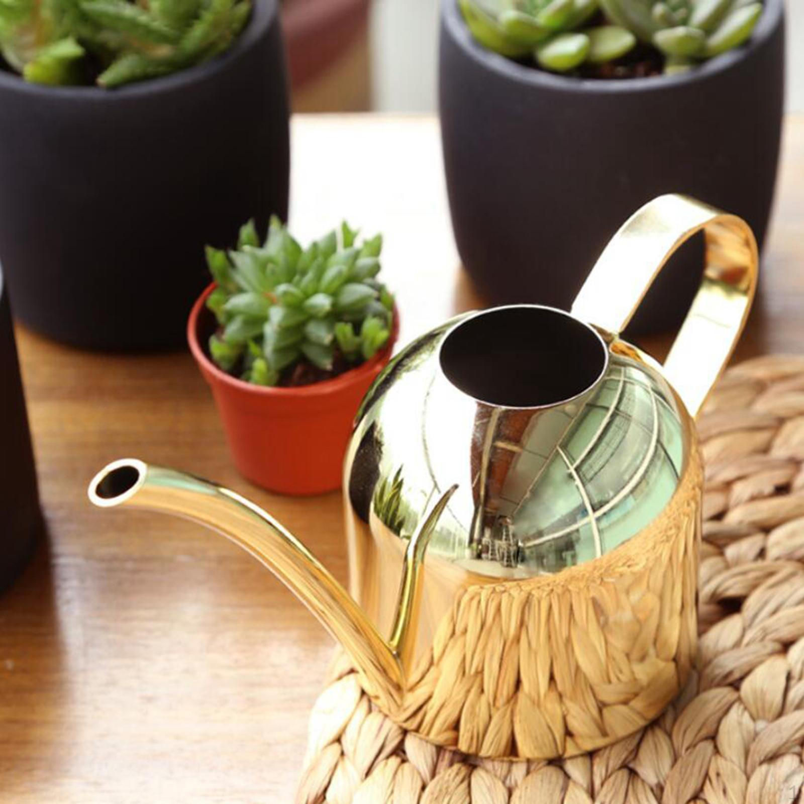 

Лейка из нержавеющей стали объемом 1000 мл для помещений с длинным горлышком для цветочного горшка бонсай