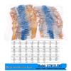 Gangwo 1/8W Metal Film Resistor Assortment Kit